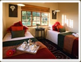 Superior Bedroom - Oudtshoorn Bed & Breakfast