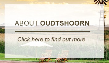 about_oudtshoorn