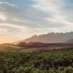 Lush green view at Wildehondekloof