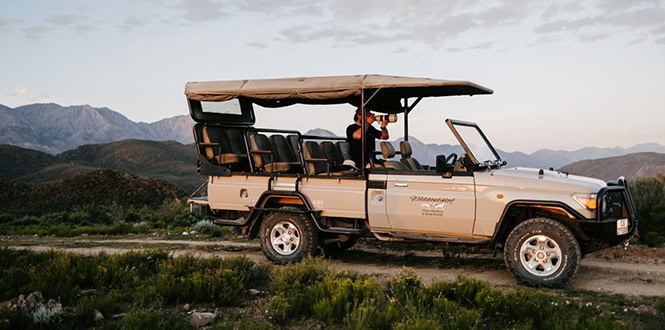 Game drive at Private Game Reserve