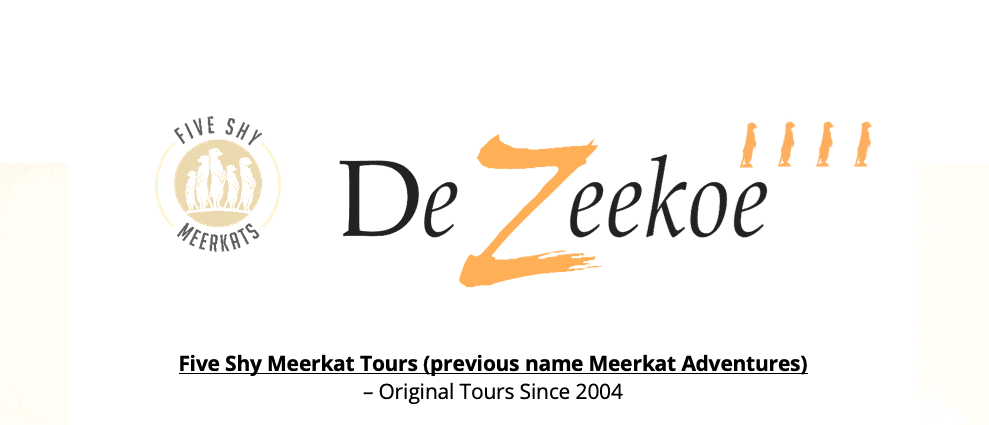 Five Shy Meerkat Tours