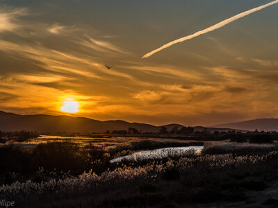 Sunset in the Klein Karoo in Oudtshoorn