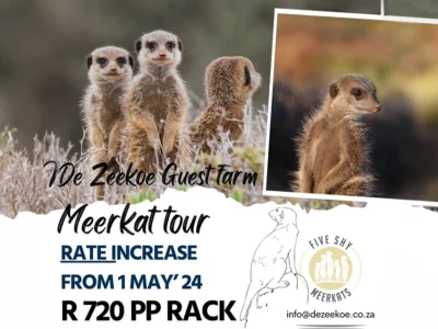 meerkat price increase