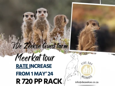 Meerkat Price Increase