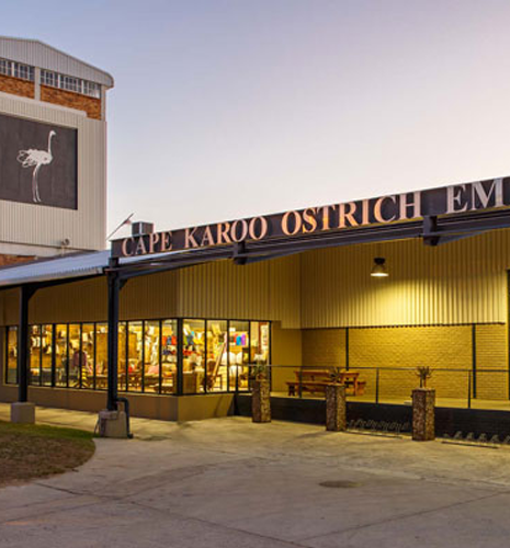 cape-karoo-ostrich-emporium