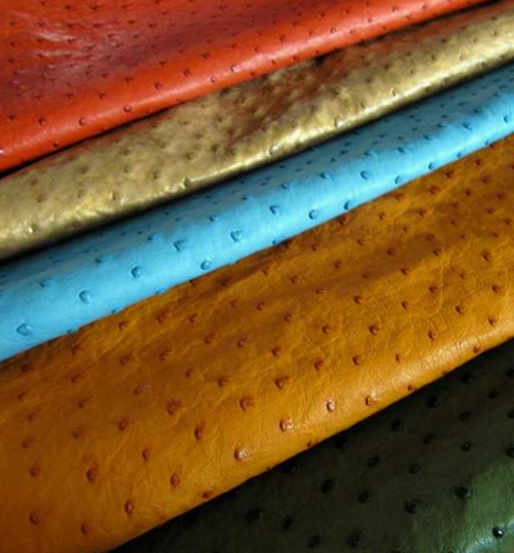 colourful-ostrich-leather