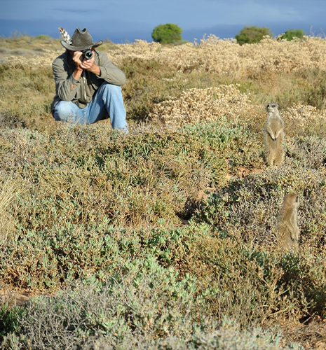 meerkat-tour-photographer
