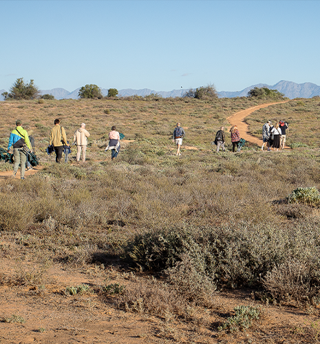 meerkat-tour-tourists-hiking