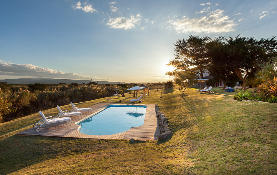 pool-sunset-lounge-chairs