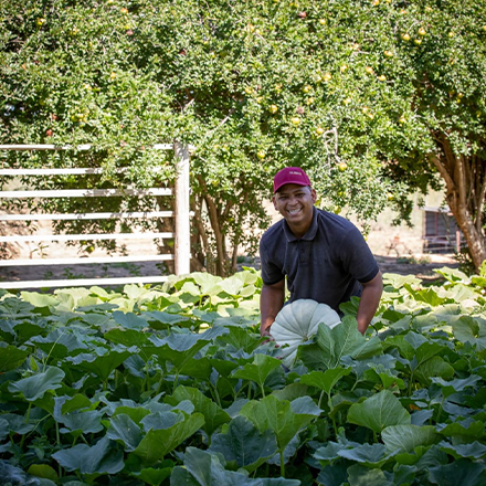 simling-farm-worker-plants