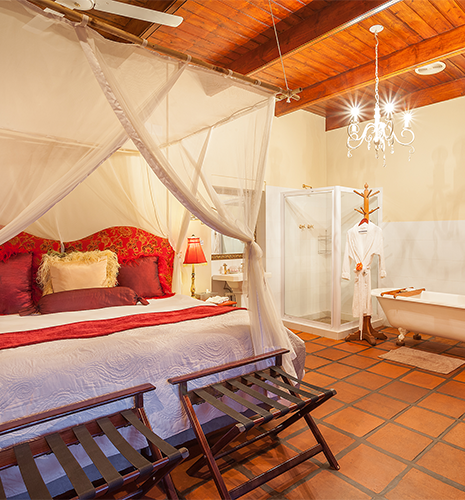 standard-room-double-bed-bath
