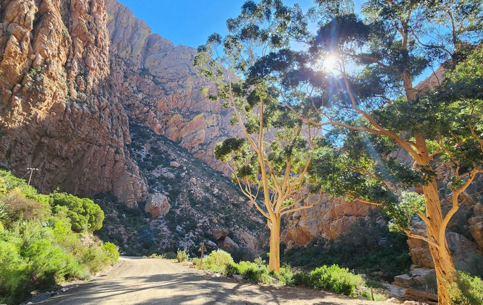 swartberg-mountain-pass-sun