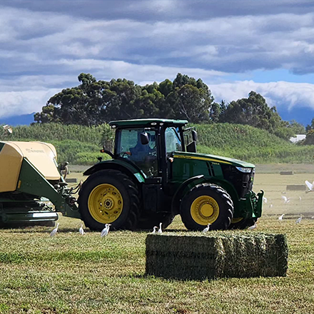 tractor-farm-birds