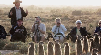 Meerkat tour guests