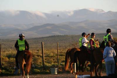 Horseback Riding in Oudtshoorn