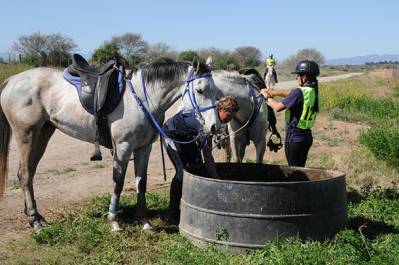 Horseback Riding in Oudtshoorn