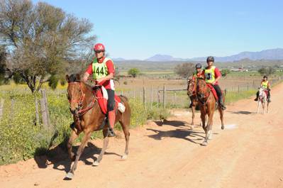 Horseback Riding in Oudtshoorn